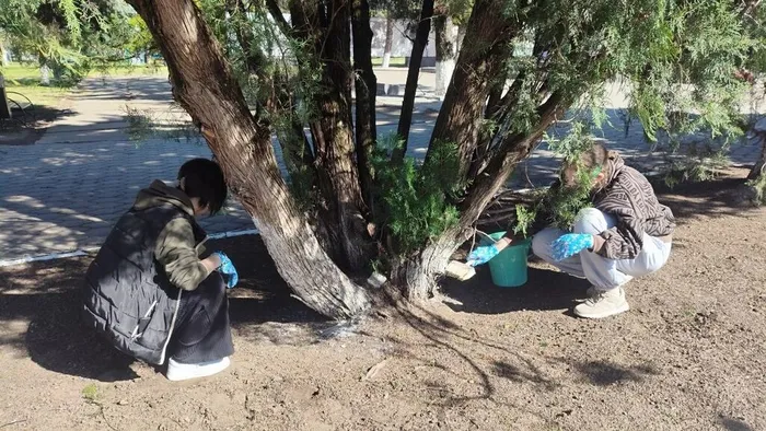 IMG_20260427_081758_412