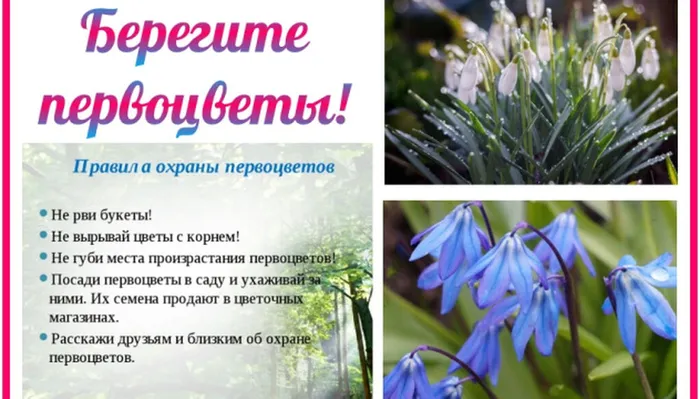img-20220301-wa0060