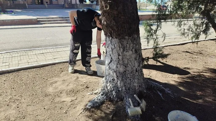 IMG_20260427_081758_382