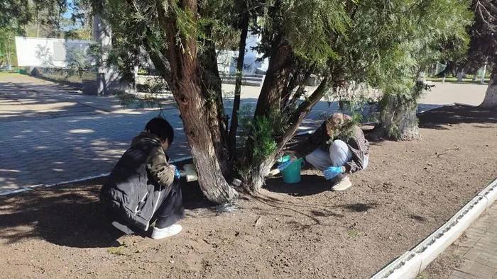 IMG_20260427_081758_391