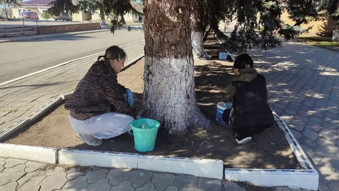 IMG_20260427_081758_368