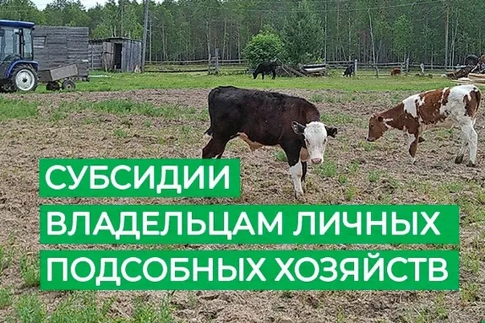 субсидии