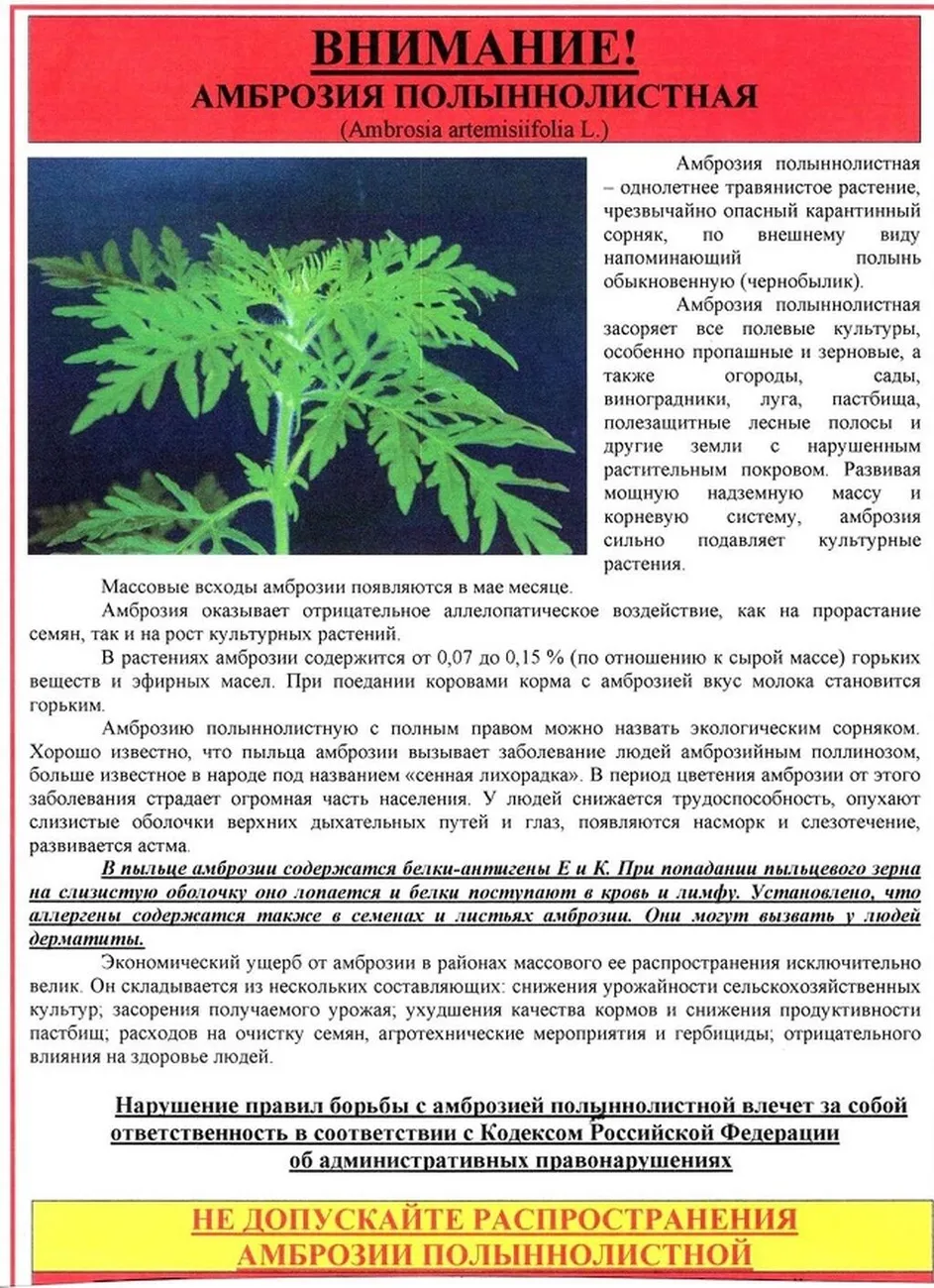 foto-10-06-2022-14-21