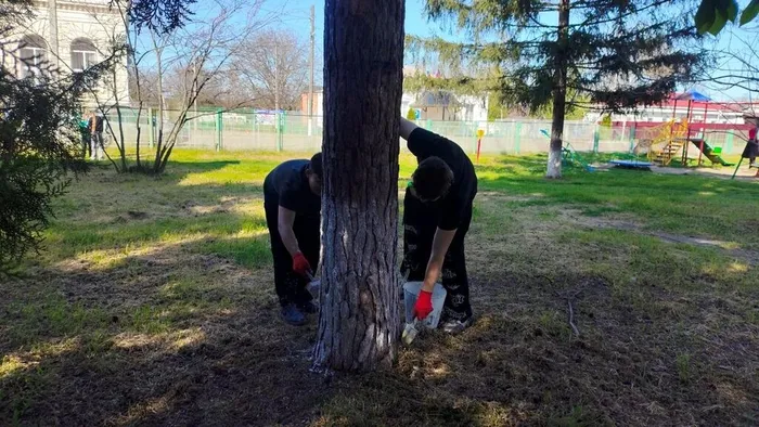 IMG_20260427_081758_416